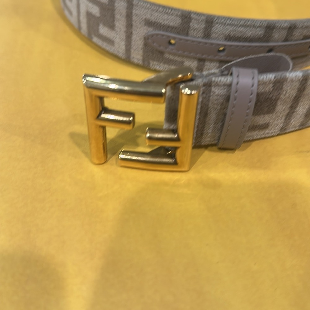 Fendi Brown and Gold women Belt Bag - Picture 12 of 17